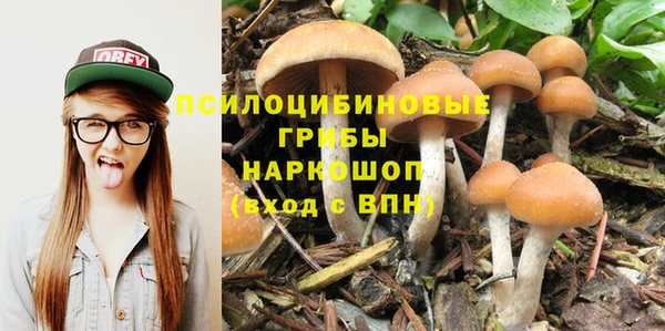 хмурый Армянск