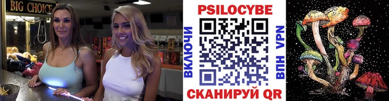 Псилоцибиновые грибы мицелий  Камбарка 